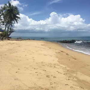  Apartment Brisas Del Mar 1/1 Front Beach Puerto Rico